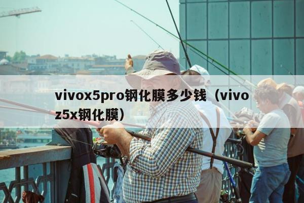 vivox5pro钢化膜多少钱（vivoz5x钢化膜）