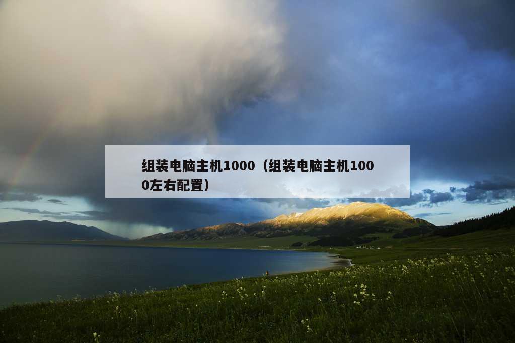 组装电脑主机1000（组装电脑主机1000左右配置）