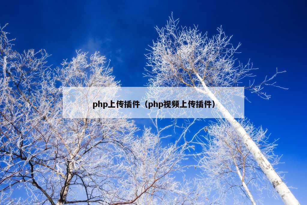 php上传插件（php视频上传插件）