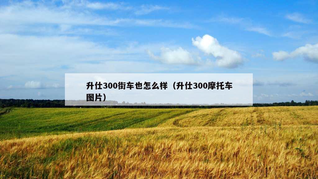 升仕300街车也怎么样（升仕300摩托车图片）