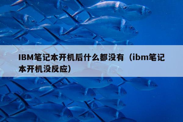 IBM笔记本开机后什么都没有（ibm笔记本开机没反应）