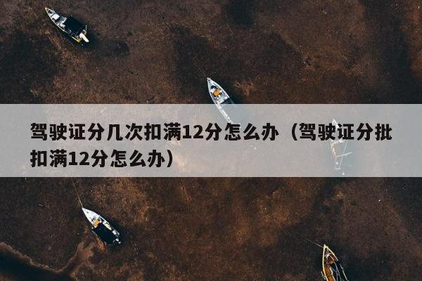 驾驶证分几次扣满12分怎么办（驾驶证分批扣满12分怎么办）