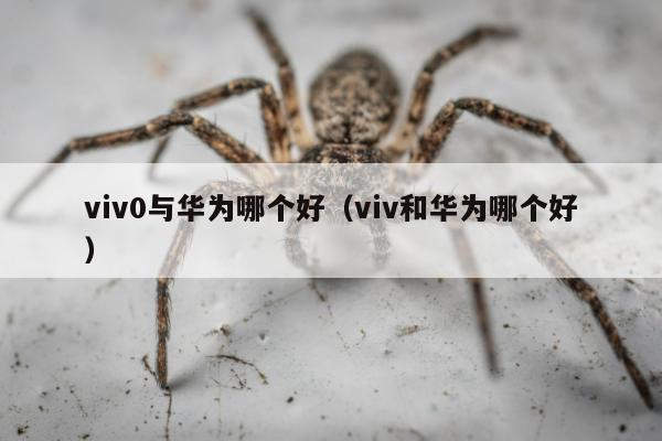 viv0与华为哪个好（viv和华为哪个好）