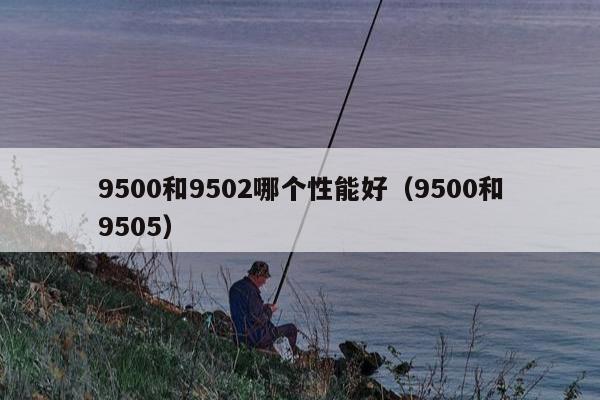 9500和9502哪个性能好（9500和9505）