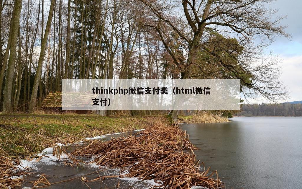 thinkphp微信支付类（html微信支付）