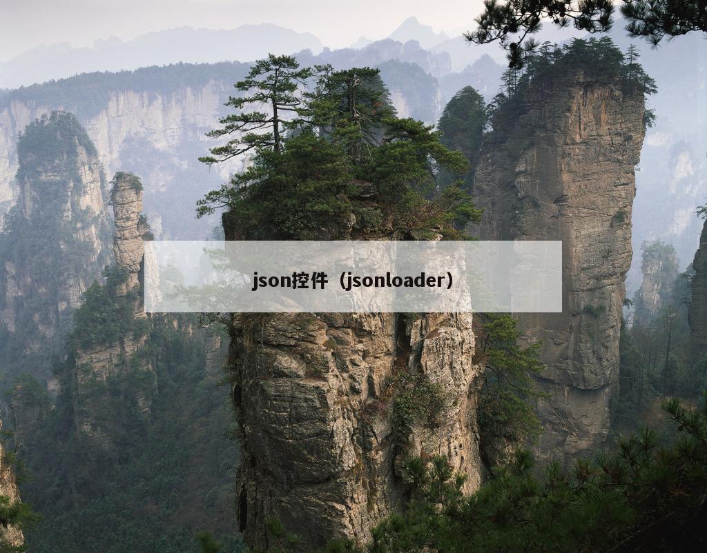 json控件（jsonloader）