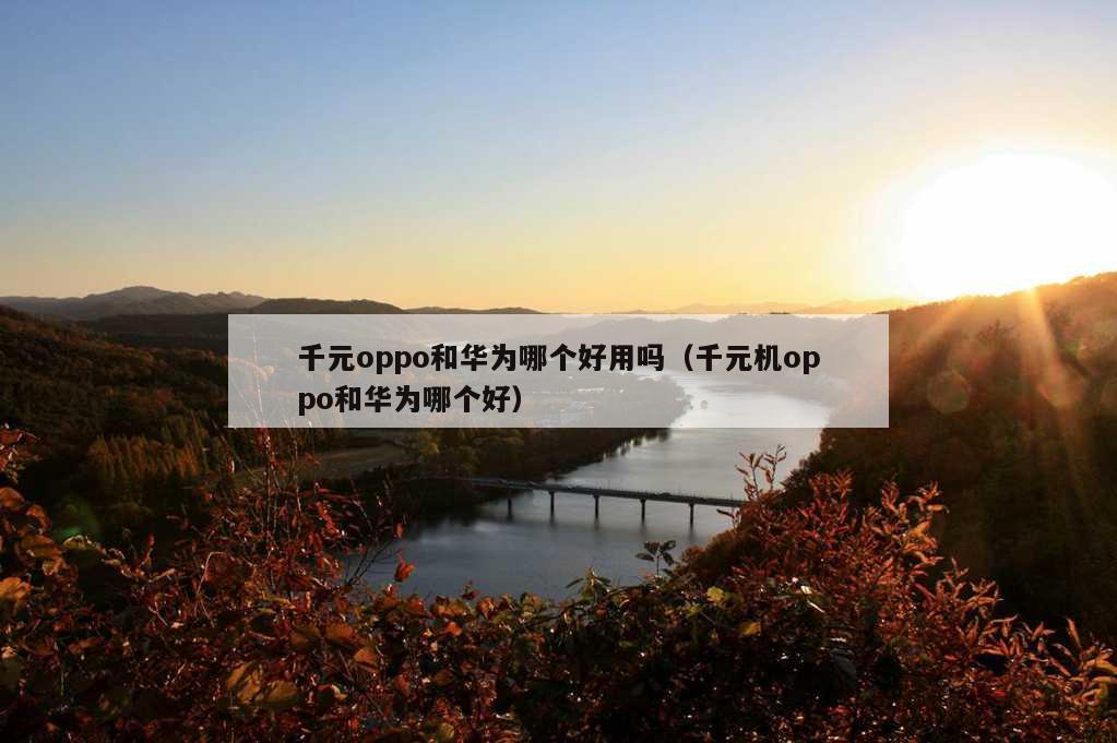 千元oppo和华为哪个好用吗（千元机oppo和华为哪个好）