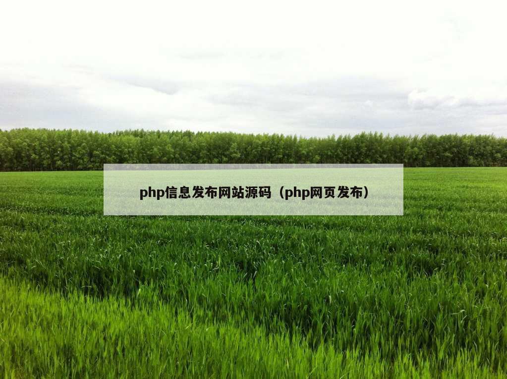 php信息发布网站源码（php网页发布）