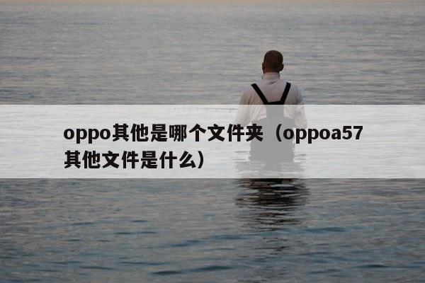 oppo其他是哪个文件夹（oppoa57其他文件是什么）