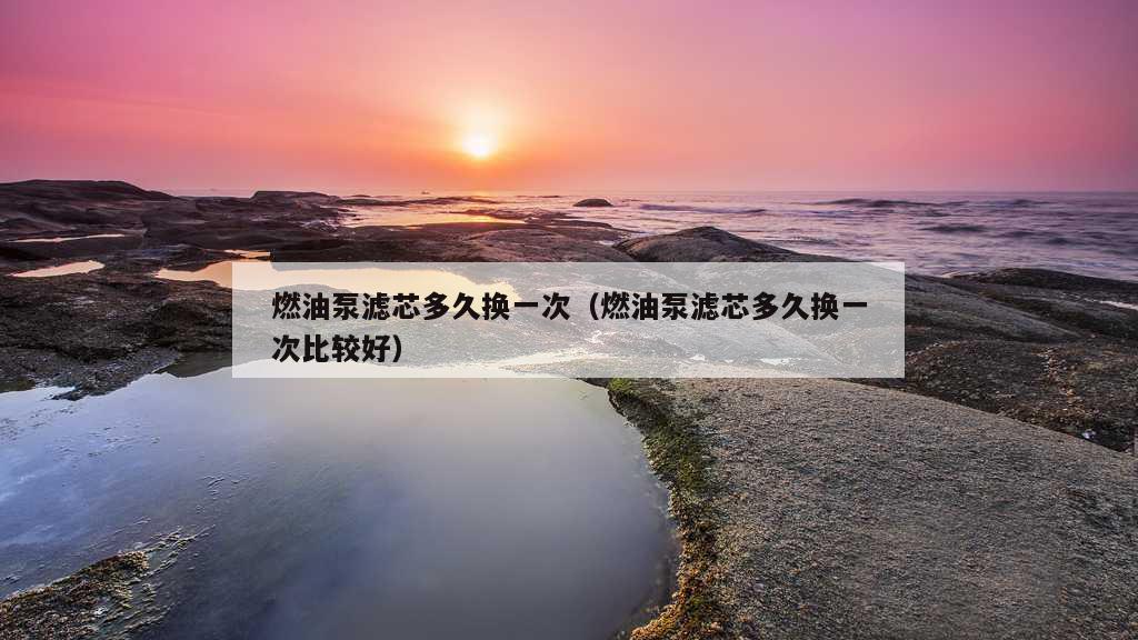 燃油泵滤芯多久换一次（燃油泵滤芯多久换一次比较好）