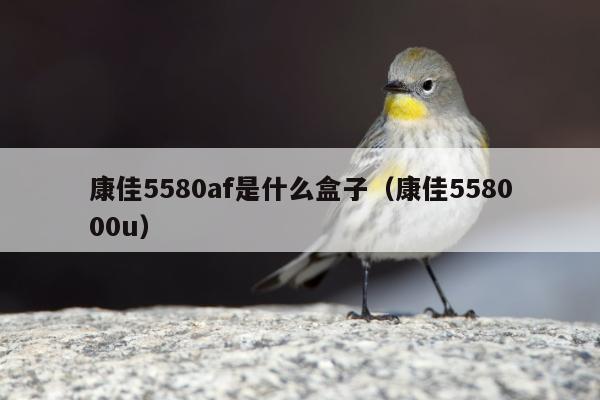 康佳5580af是什么盒子（康佳558000u）