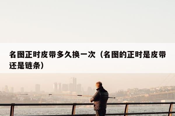 名图正时皮带多久换一次（名图的正时是皮带还是链条）