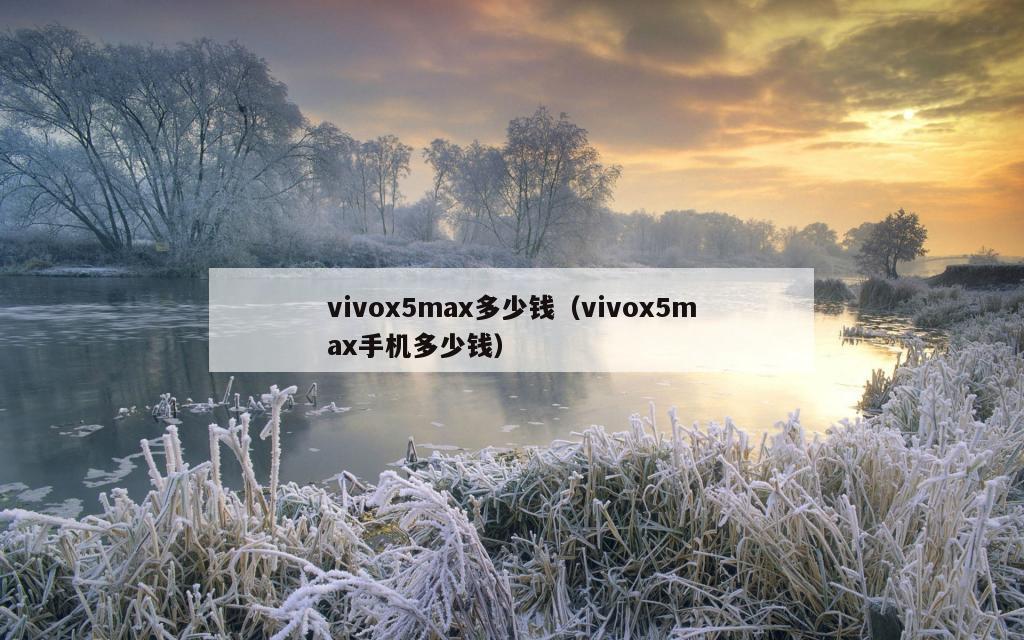 vivox5max多少钱（vivox5max手机多少钱）