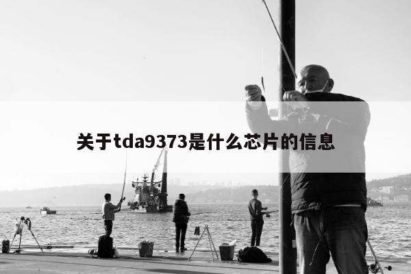 关于tda9373是什么芯片的信息