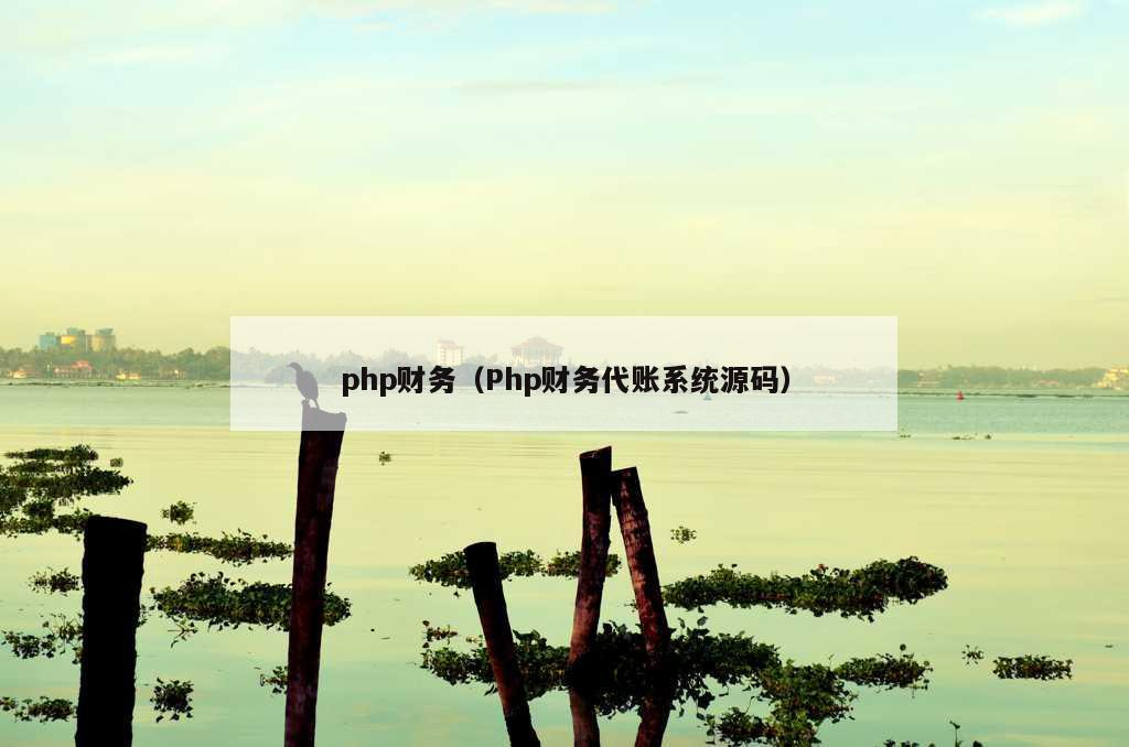 php财务（Php财务代账系统源码）