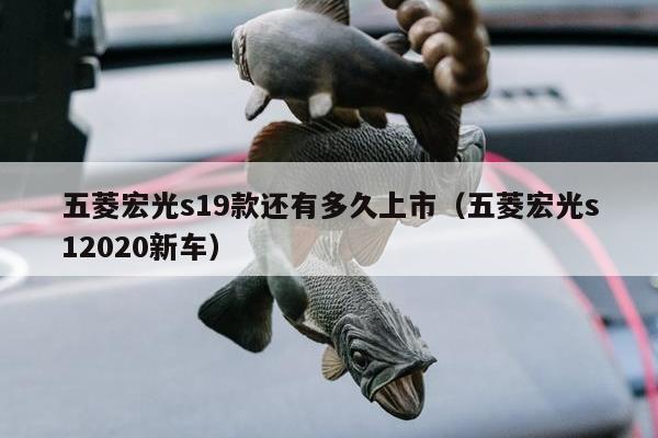 五菱宏光s19款还有多久上市（五菱宏光s12020新车）