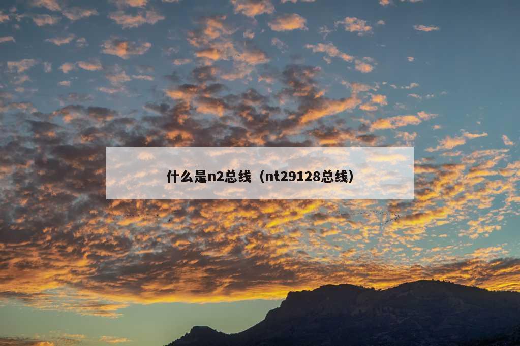 什么是n2总线（nt29128总线）