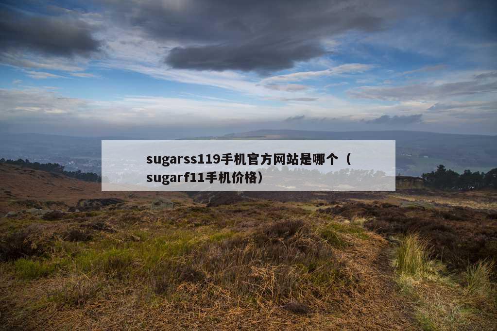 sugarss119手机官方网站是哪个（sugarf11手机价格）