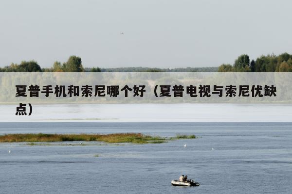 夏普手机和索尼哪个好（夏普电视与索尼优缺点）