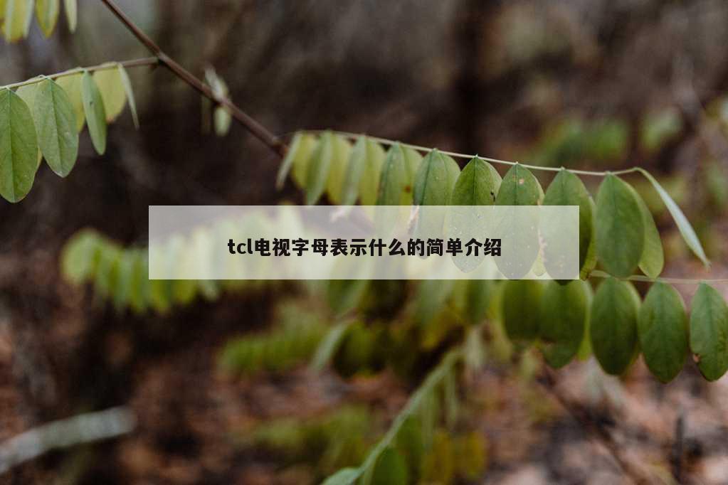 tcl电视字母表示什么的简单介绍