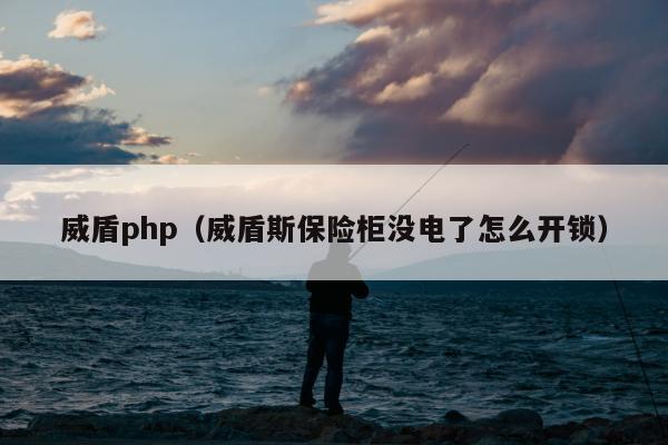 威盾php（威盾斯保险柜没电了怎么开锁）