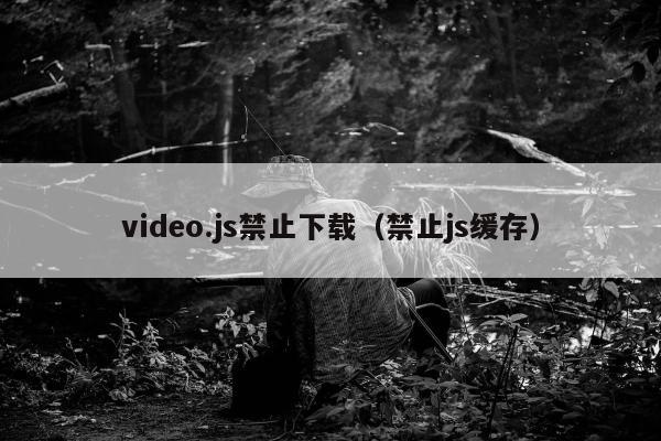 video.js禁止下载（禁止js缓存）