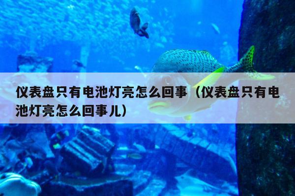 仪表盘只有电池灯亮怎么回事（仪表盘只有电池灯亮怎么回事儿）