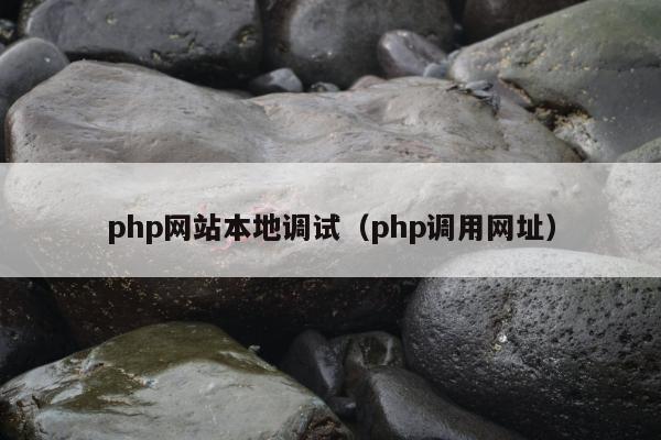 php网站本地调试（php调用网址）