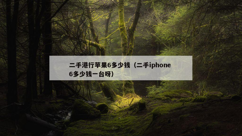 二手港行苹果6多少钱（二手iphone 6多少钱一台呀）