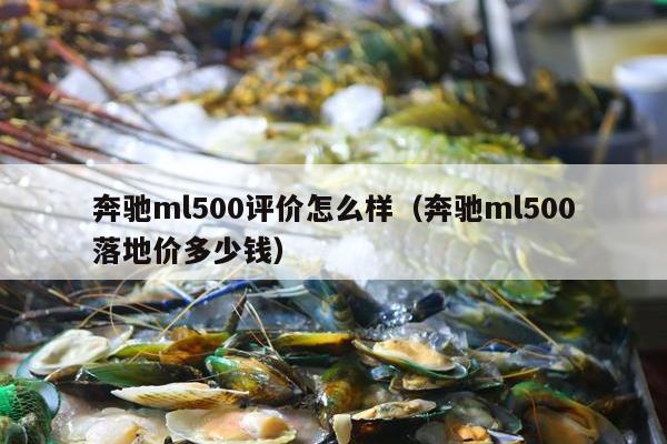 奔驰ml500评价怎么样（奔驰ml500落地价多少钱）