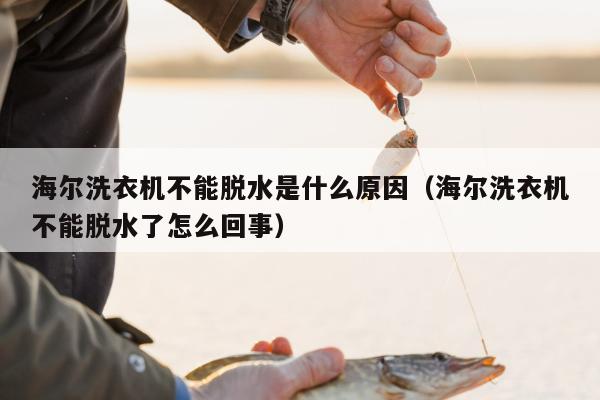 海尔洗衣机不能脱水是什么原因（海尔洗衣机不能脱水了怎么回事）