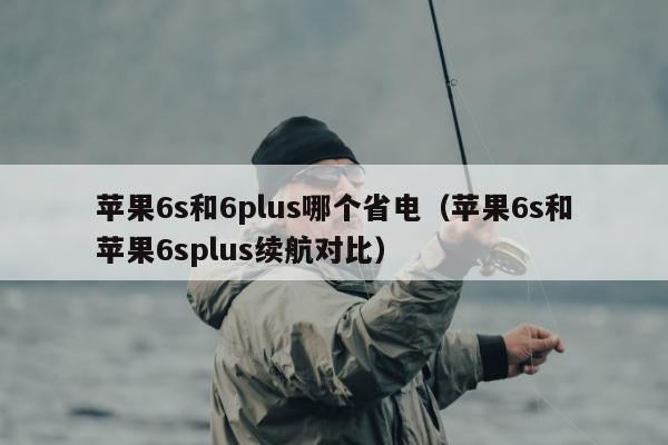 苹果6s和6plus哪个省电（苹果6s和苹果6splus续航对比）