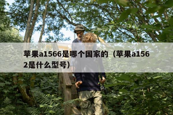 苹果a1566是哪个国家的（苹果a1562是什么型号）