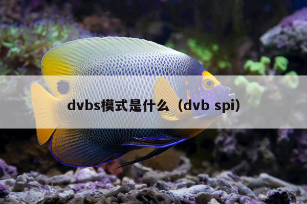 dvbs模式是什么（dvb spi）