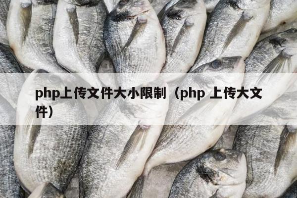 php上传文件大小限制（php 上传大文件）