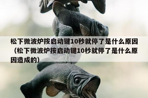 松下微波炉按启动键10秒就停了是什么原因（松下微波炉按启动键10秒就停了是什么原因造成的）