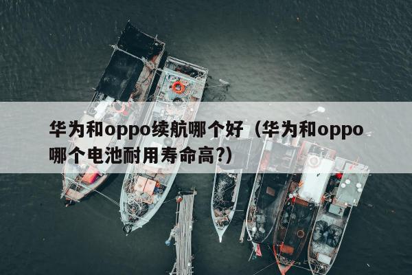 华为和oppo续航哪个好（华为和oppo哪个电池耐用寿命高?）