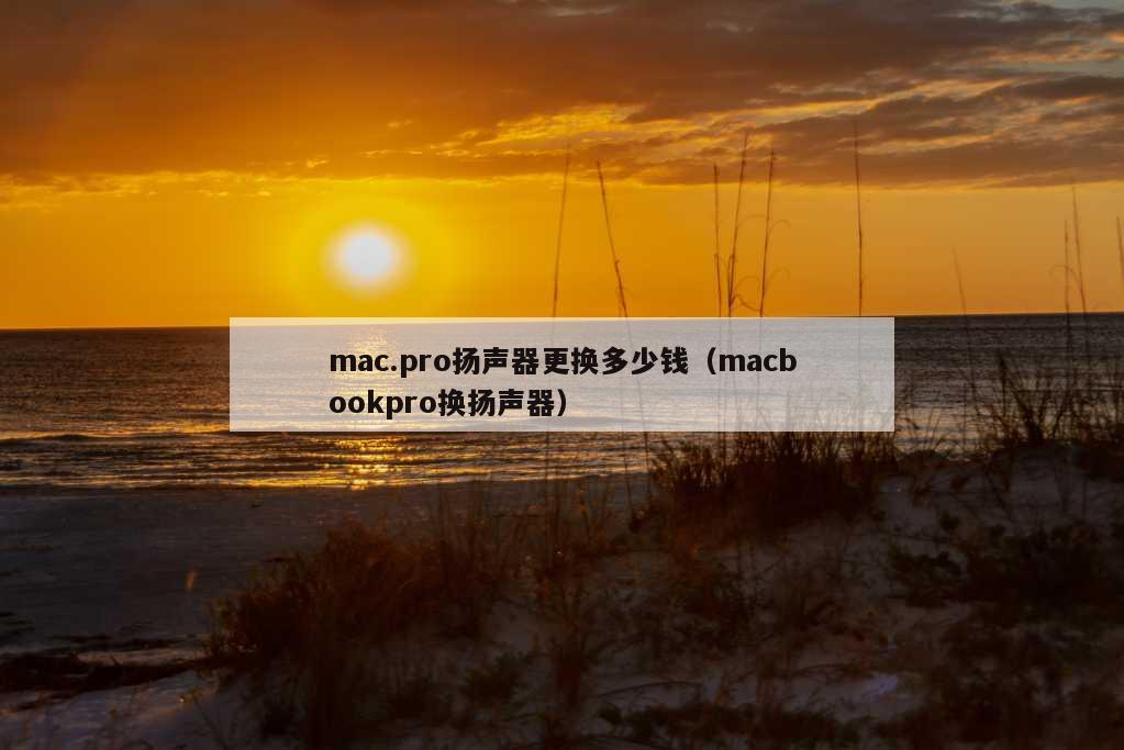 mac.pro扬声器更换多少钱（macbookpro换扬声器）