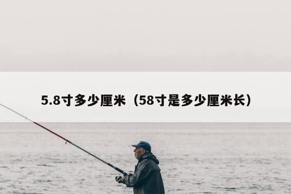 5.8寸多少厘米（58寸是多少厘米长）