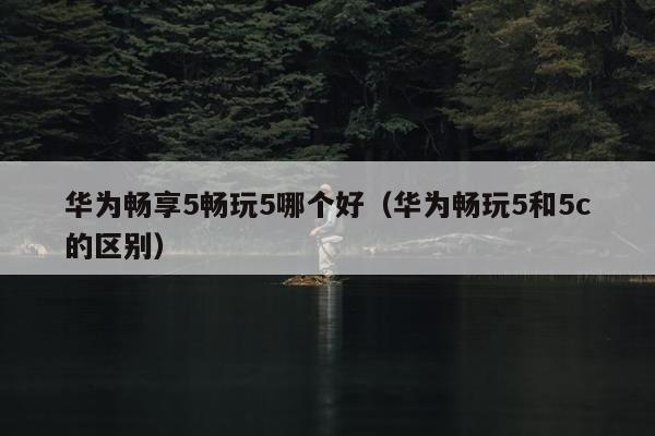 华为畅享5畅玩5哪个好（华为畅玩5和5c的区别）