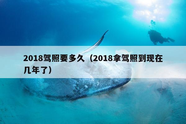 2018驾照要多久（2018拿驾照到现在几年了）