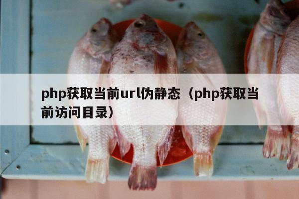 php获取当前url伪静态（php获取当前访问目录）