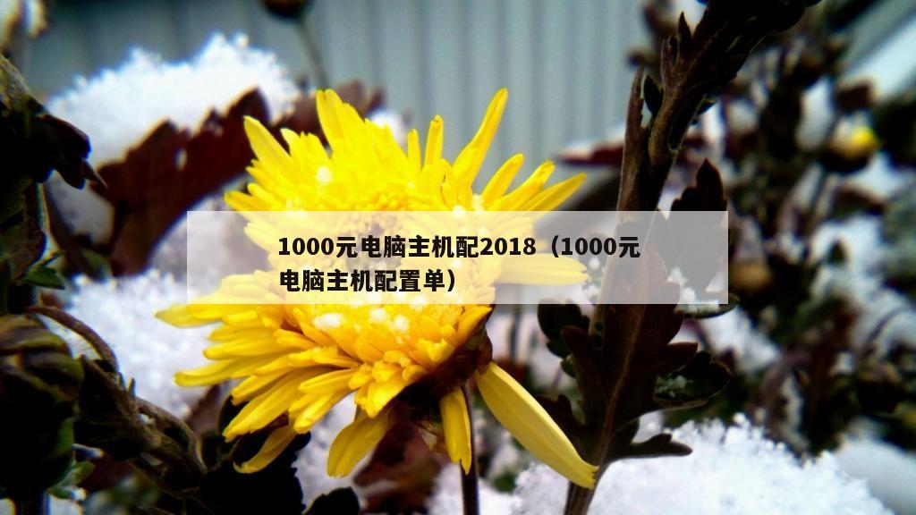 1000元电脑主机配2018（1000元电脑主机配置单）