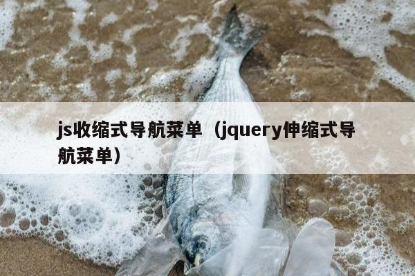 js收缩式导航菜单（jquery伸缩式导航菜单）