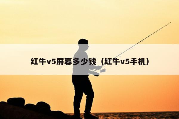 红牛v5屏幕多少钱（红牛v5手机）