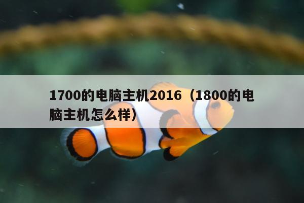 1700的电脑主机2016（1800的电脑主机怎么样）