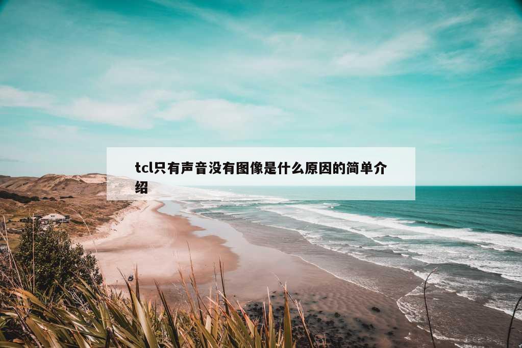 tcl只有声音没有图像是什么原因的简单介绍