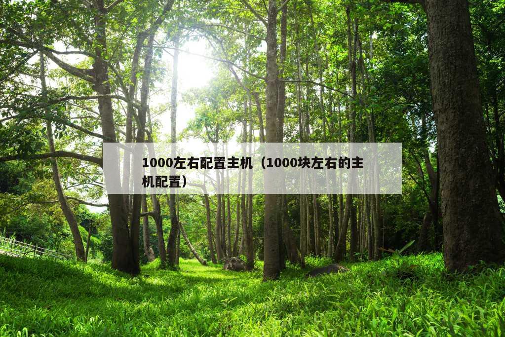 1000左右配置主机（1000块左右的主机配置）