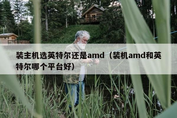 装主机选英特尔还是amd（装机amd和英特尔哪个平台好）