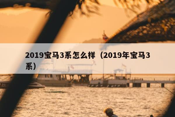 2019宝马3系怎么样（2019年宝马3系）